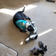Ozzy’s play room, trying out his birthday present